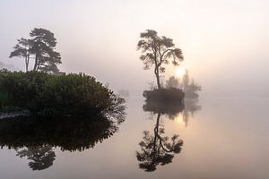 Lever de soleil dans la brume près du Voorste Goorven à Oisterwijk. sur Els Oomis