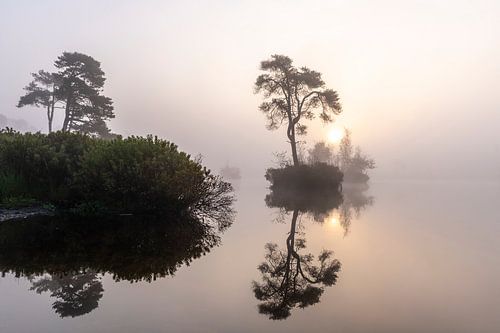 Zonsopkomst in de mist bij het Voorste Goorven in Oisterwijk.