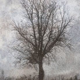 Winterbaum von Esther Wijntje