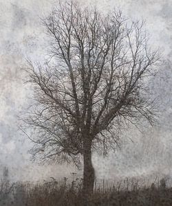 Winterbaum von Esther Wijntje