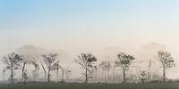 Mist in de ochtend_Verh.1-2 Lucht