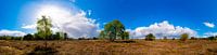 Groevenbeeker Heide - Panorama von Alejandro Quezada Miniaturansicht