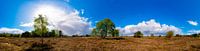 Groevenbeek Heath - Panorama