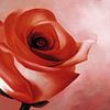 Einzelne rote Rose, gemalt von Tanja Udelhofen