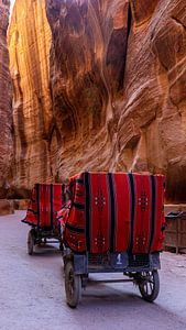 Koetsen rijdend door de Siq in Petra, Jordanië
