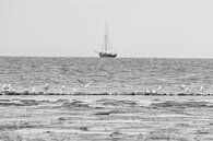 Uitzicht over de waddenzee van Goffe Jensma thumbnail