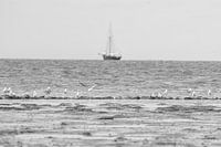 Uitzicht over de waddenzee