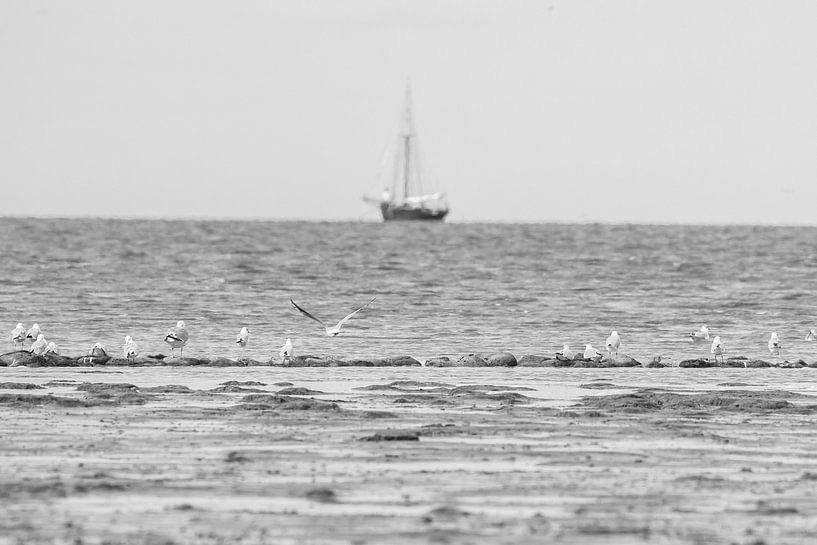 Uitzicht over de waddenzee van Goffe Jensma