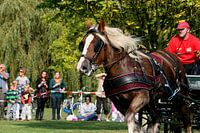 Powerhorse