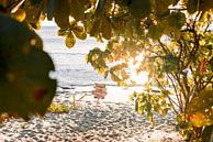 Happily ever after starts here, zonsondergang op strand in Fiji van Niels Rurenga thumbnail