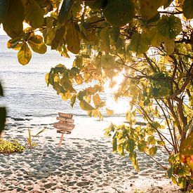Happily ever after starts here, zonsondergang op strand in Fiji van Niels Rurenga