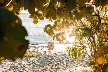 Das Glücklichsein beginnt hier, Sonnenuntergang am Strand von Fidschi von Niels Rurenga