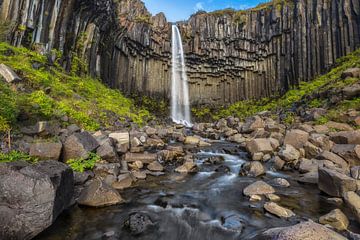 Svartifoss waterval in IJsland van Dieter Meyrl