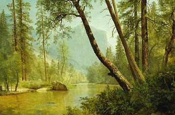 Albert Bierstadt,Forêt ensoleillée