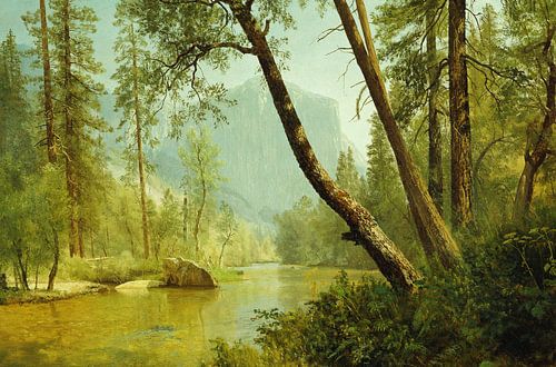 Albert Bierstadt,Zonverlicht bos
