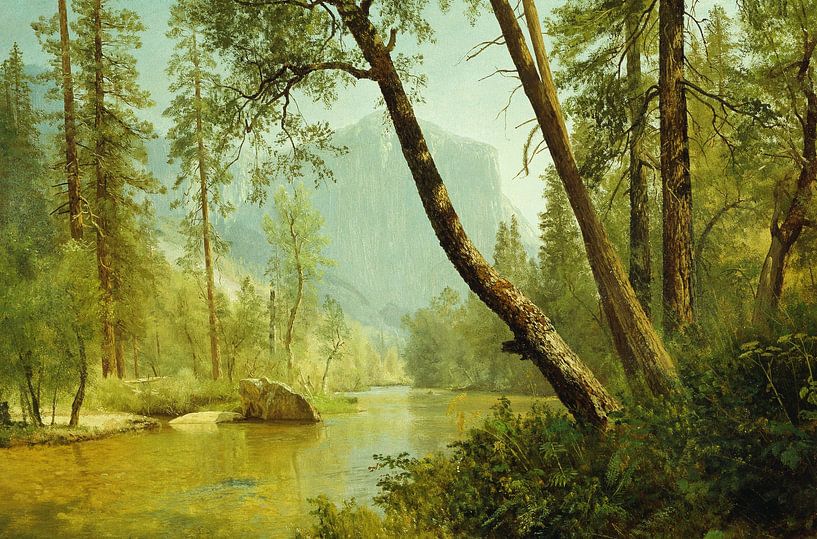 Albert Bierstadt,Sunlit Forest by finemasterpiece