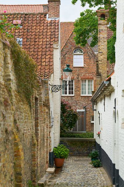 Idyllic backyard in Bruges by Heiko Kueverling