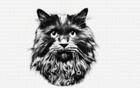 Indrukwekkende langharige kat zwart wit portret van Maud De Vries thumbnail