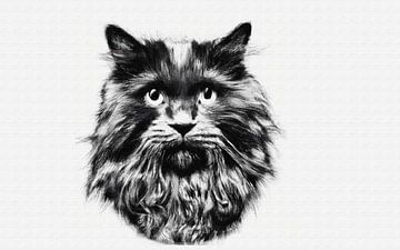 Impressionnant portrait d'un chat à poils longs noir et blanc sur Maud De Vries