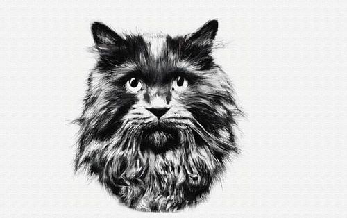 Indrukwekkende langharige kat zwart wit portret
