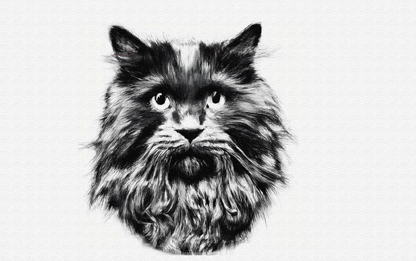 Indrukwekkende langharige kat zwart wit portret van Maud De Vries