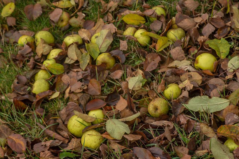 nature trees water sun by Johnny Flash