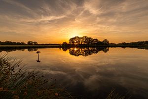 Sonnenuntergang hinter Bäumen, die sich im Wasser spiegeln