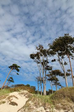 Beach sur Ostsee Bilder