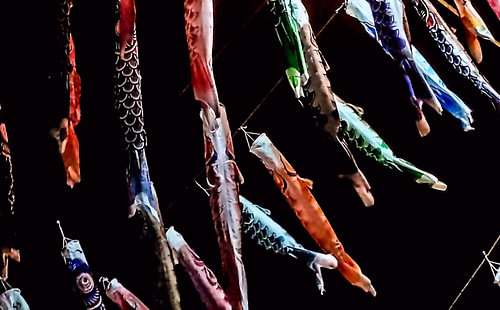 Koinobori