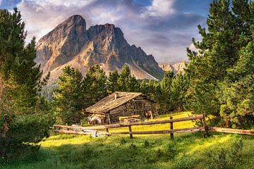 Hut on the alpine pasture in the mountains in the Alps in South Tyrol.