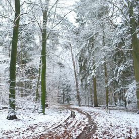 Boslandschap met sneeuw van Corinne Welp