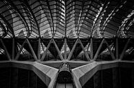 Lijnen met lift in zwart-wit  van Bert Meijer thumbnail