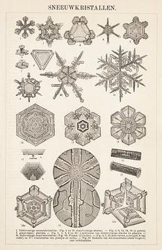 Vintage gravure Sneeuwkristallen van Studio Wunderkammer