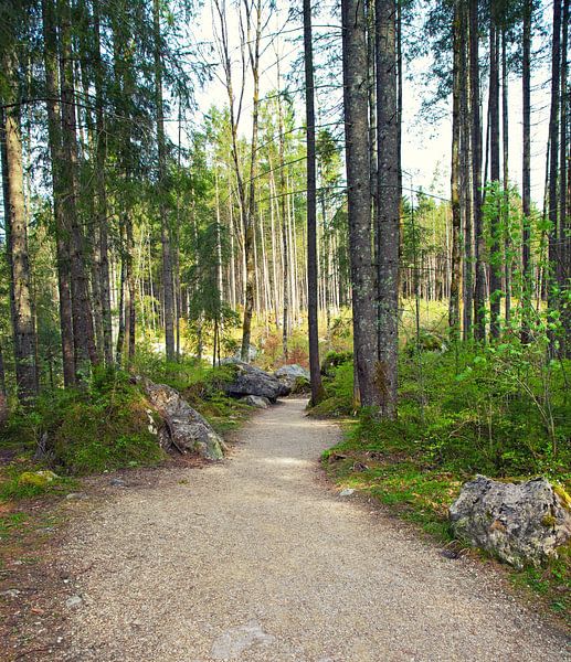 Sentier de randonnée par Bo Valentino