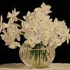 Witte Bloemen | Charm of White Narcissus Blossoms van Bloemen Studio