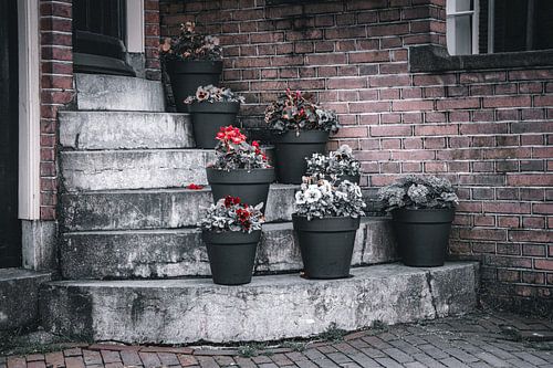 Amsterdam aux Pays-Bas n'est pas seulement noir et blanc