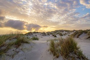 Terschelling und die schöne Natur von De Boschplaat