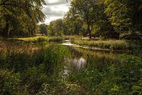 Paysage de parc avec pont