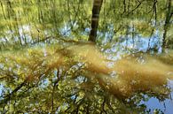 Reflet trompeur dans l'étang des Dunes sombres de Den Helder par Ronald Smits Aperçu