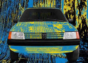 Peugeot 205 Art Car