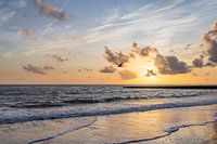 Zeemeeuw in de zonsondergang