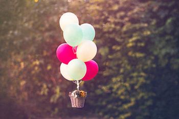 Ballon de cochon d'Inde