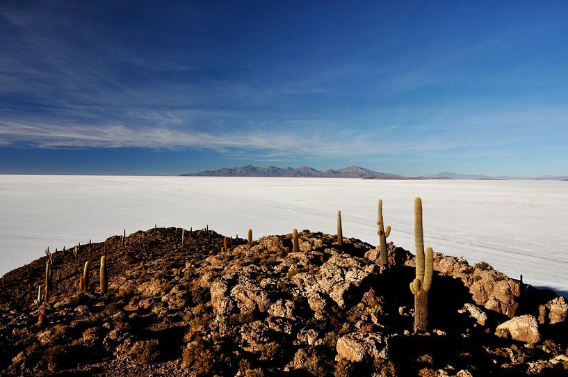 Incahuasi: een juweel midden in de zoutwoestijn van Frank Photos