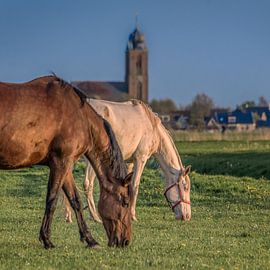 Twee paarden in het gekleurde avondzonnetje en kerktoren van Harrie Muis