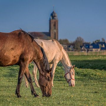 Zwei Pferde in der farbigen Abendsonne und Kirchturm von Harrie Muis