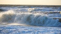 The sea