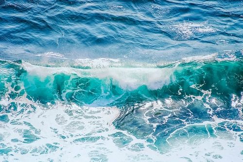 The Wave