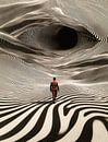 Op Art reis van Taudalpoi thumbnail