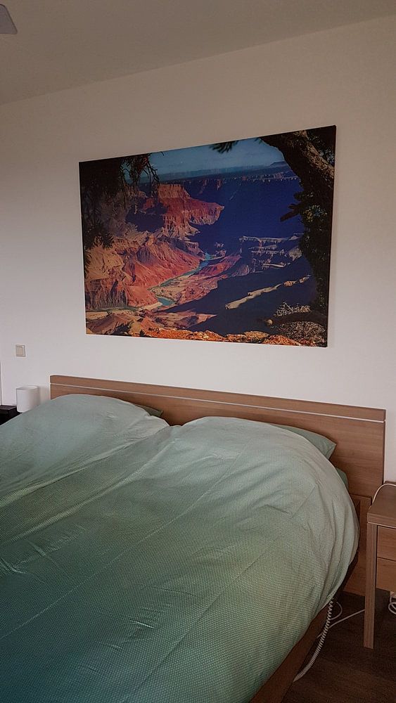 De colorado rivier in de Grand Canyon van Rietje Bulthuis