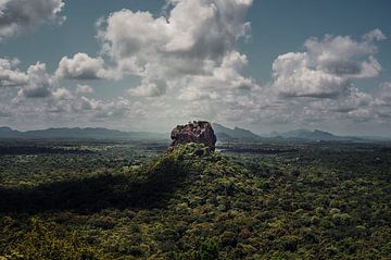 Lions Head Sri Lanka van Sam van Kempen